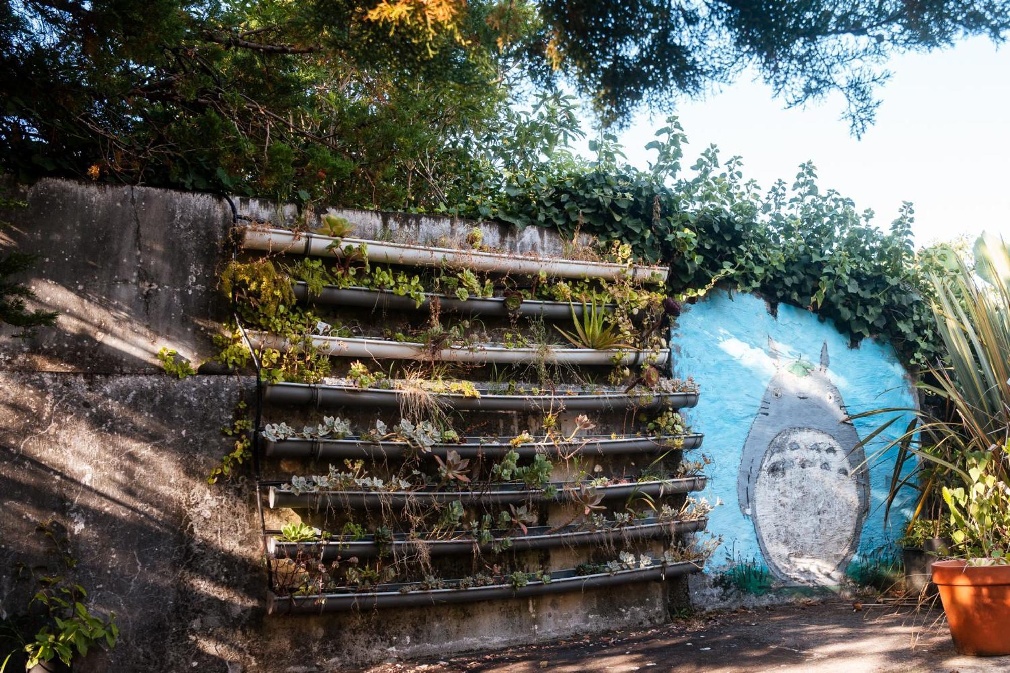 Quinta Das Almas São Roque do Pico المظهر الخارجي الصورة